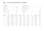 professional accounting and bookkeeping financial statements